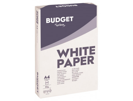 Lyreco Budget wit A4 papier, 80 g, per doos van 5 x 500 vellen